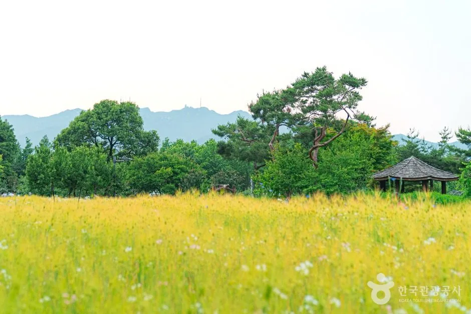 과천_서울대공원 (11)
