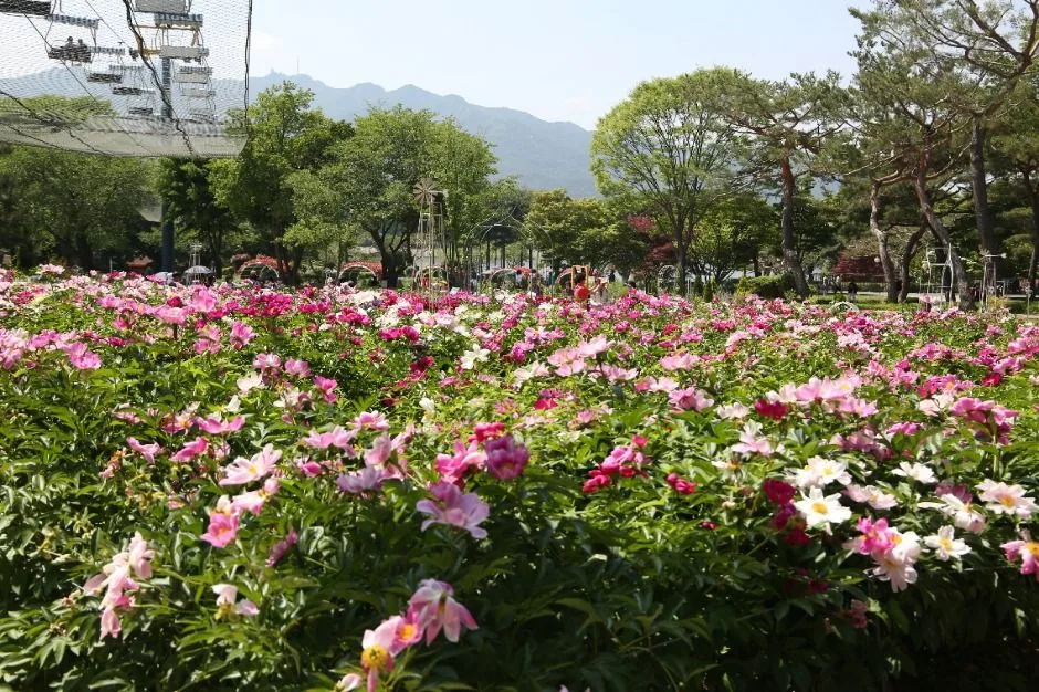 서울대공원