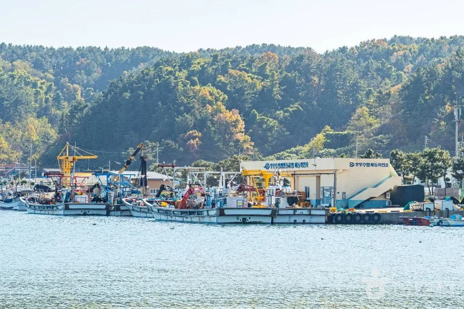 울진_사동항 (5)