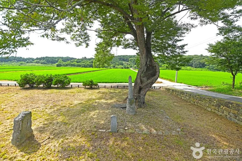 백암리남근석 (5)