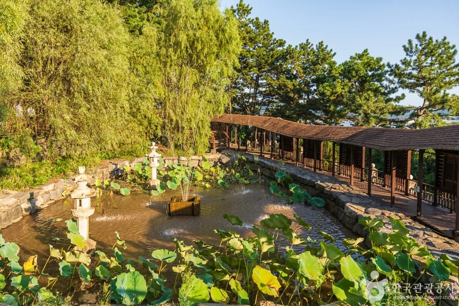 죽도(보령) (11)