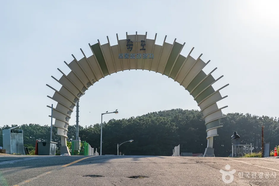 죽도 (보령)