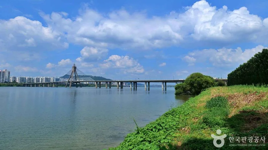 올림픽대교 (7)