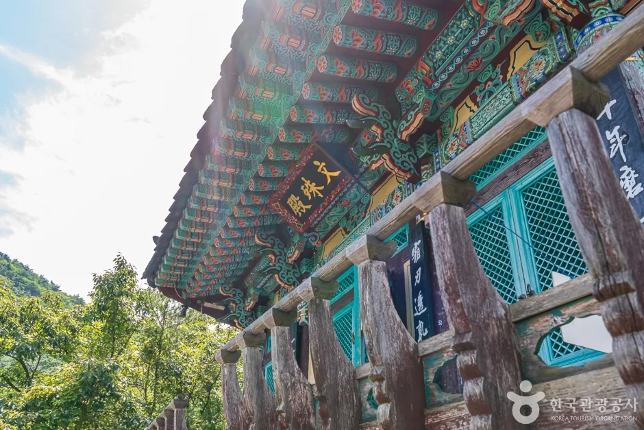 반야사 (4)