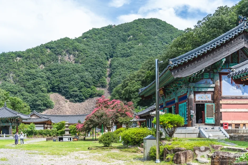 반야사 (14)