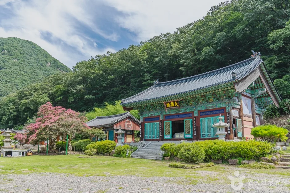 반야사 (15)