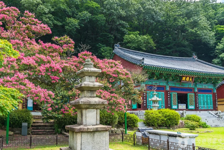 충북_영동_반야사_외부_5.jpg