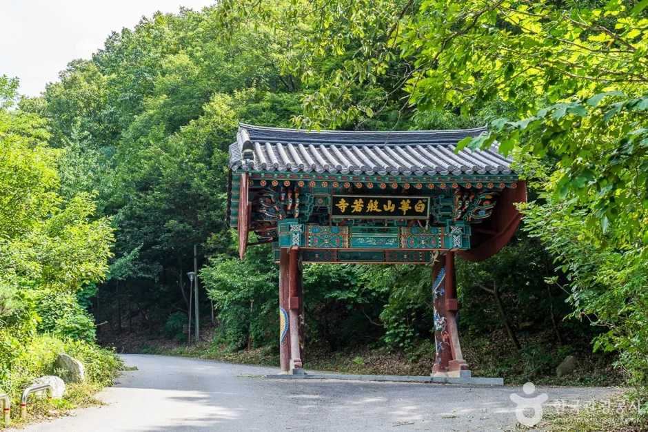 반야사 (2)