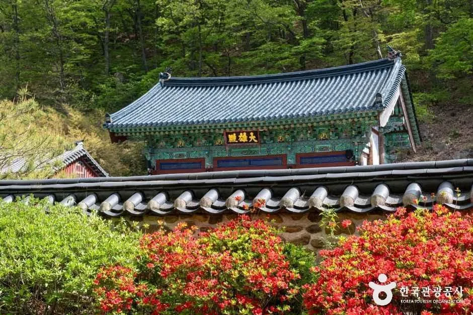 반야사 (9)