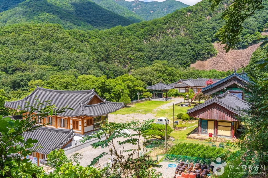 반야사 (6)