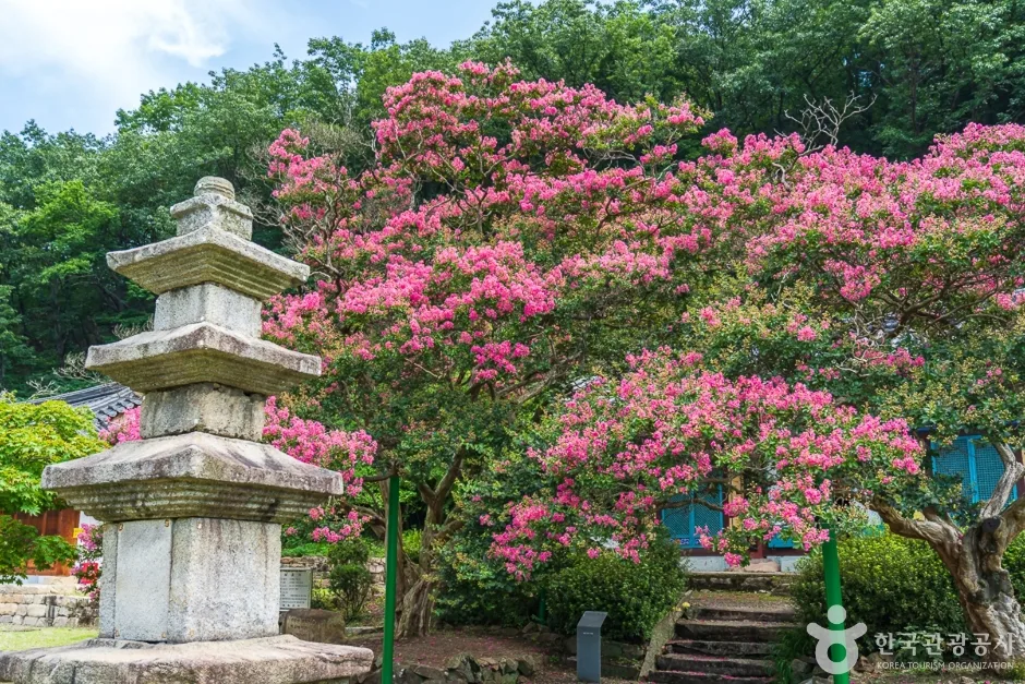 반야사 (1)