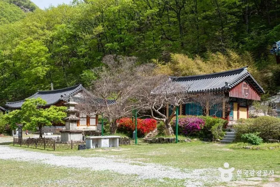 반야사 (10)