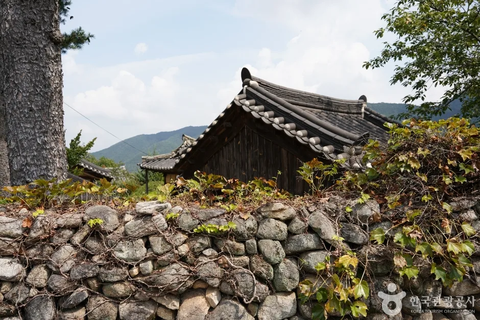 한밤마을돌담길 (10)