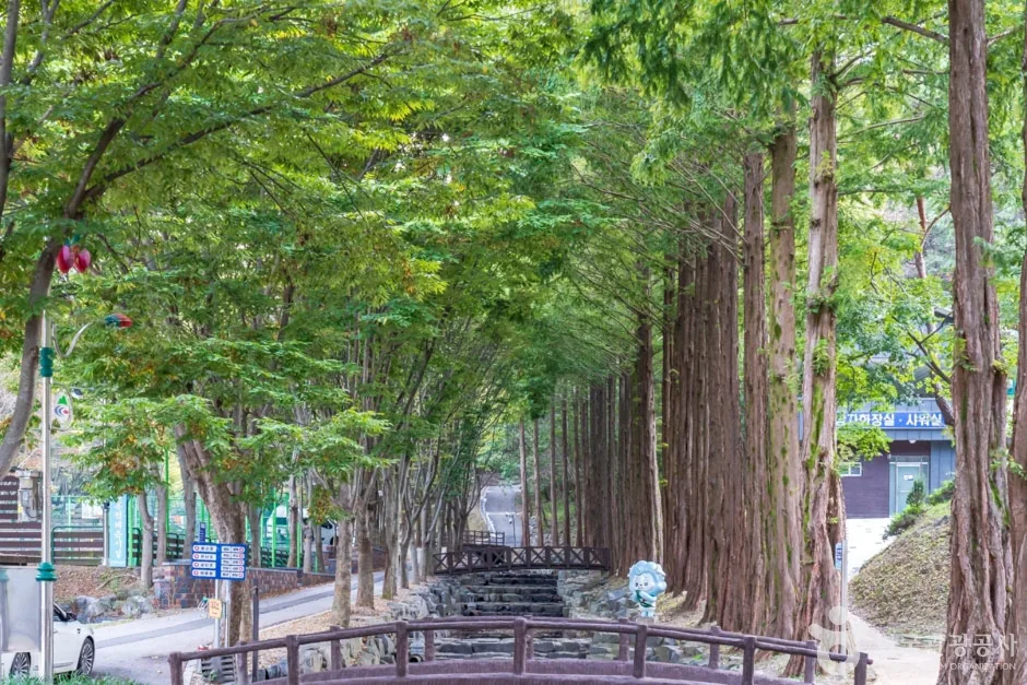칠갑산자연휴양림 (13)
