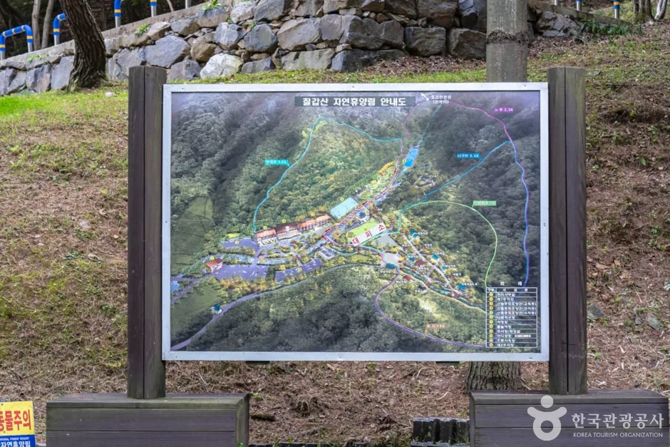 칠갑산자연휴양림 (3)
