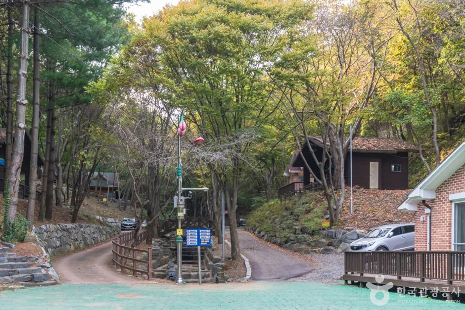 칠갑산자연휴양림 (4)