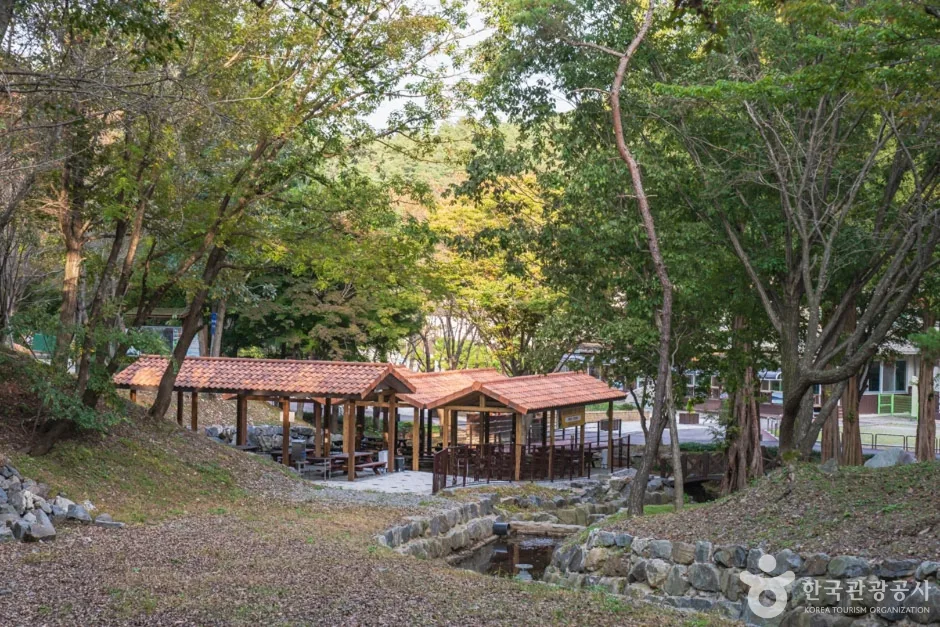 칠갑산자연휴양림 (2)