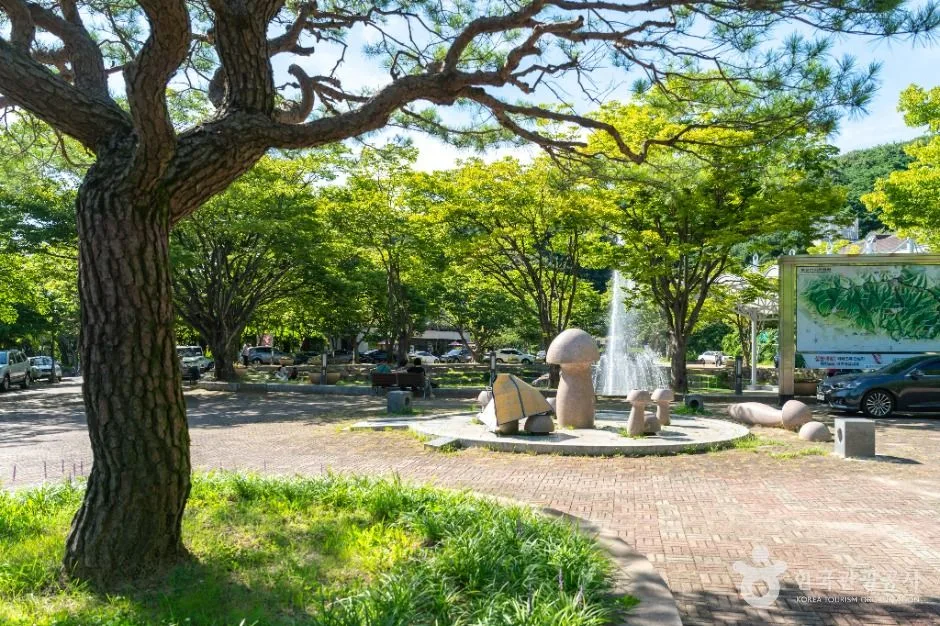 대구_팔공산분수광장 (5)