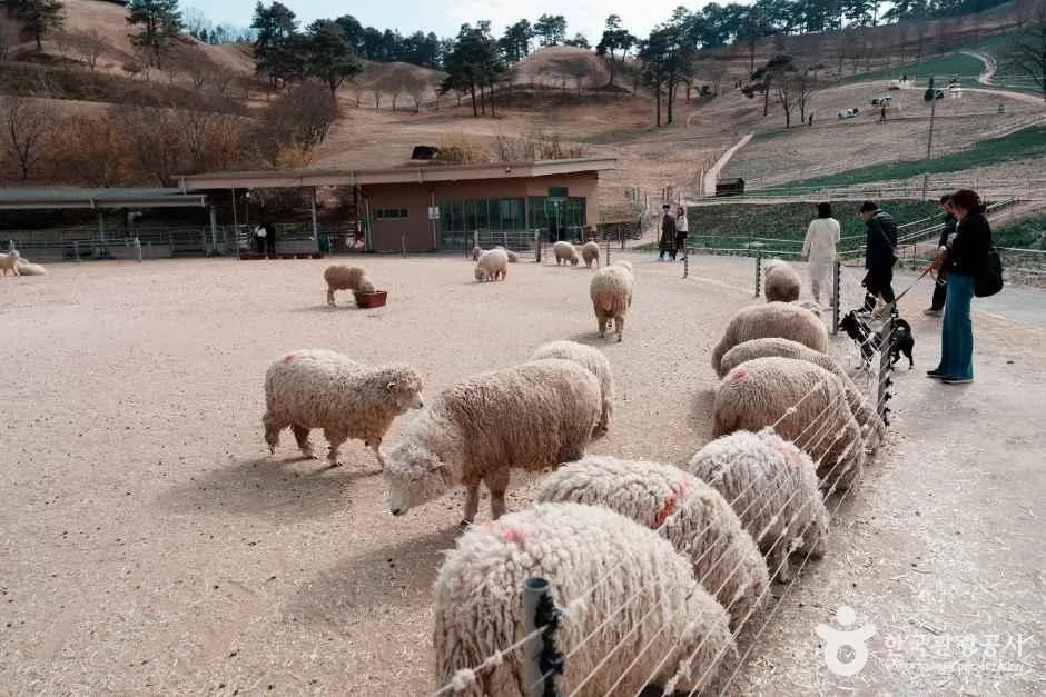 전남_구례_지리산치즈랜드_외부_3.jpg