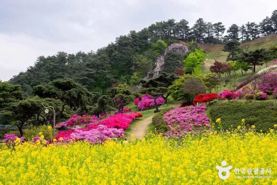 전남_구례_지리산치즈랜드_외부_2.jpg