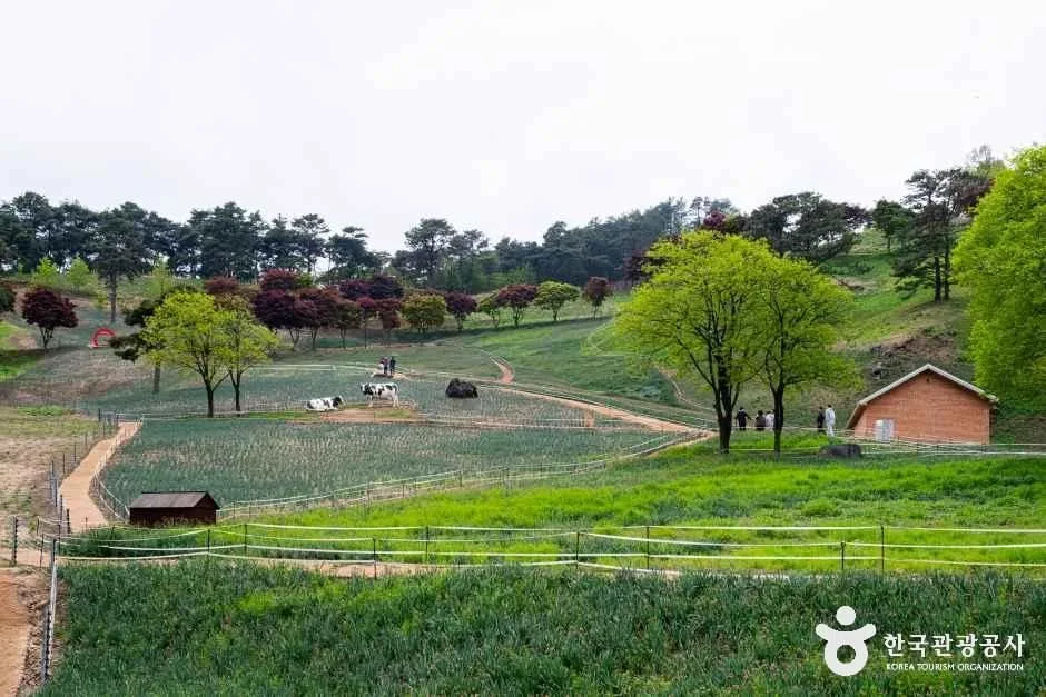 전남_구례_지리산치즈랜드_외부_1.jpg
