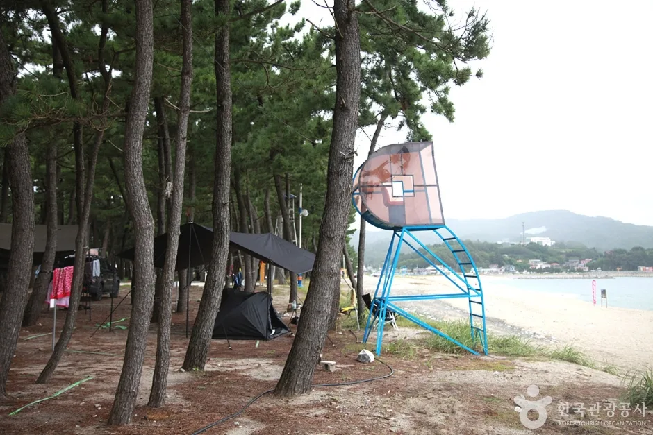 궁촌해수욕장 (16)