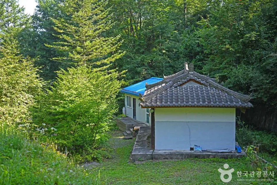 태백_선광사 (4)