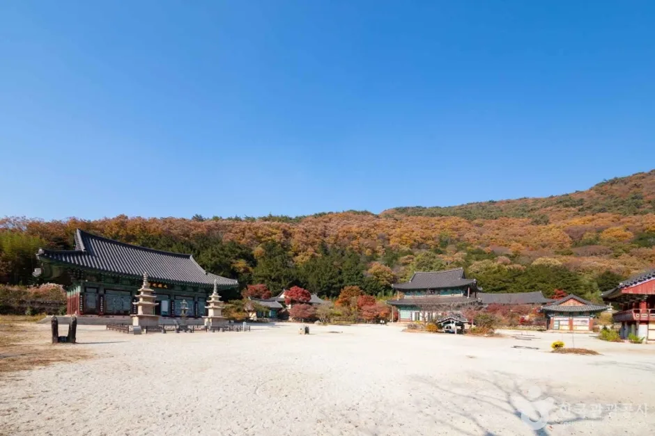 보림사(장흥) (3)
