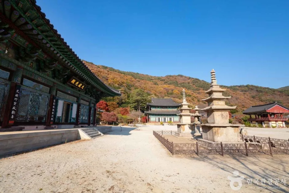보림사(장흥) (2)