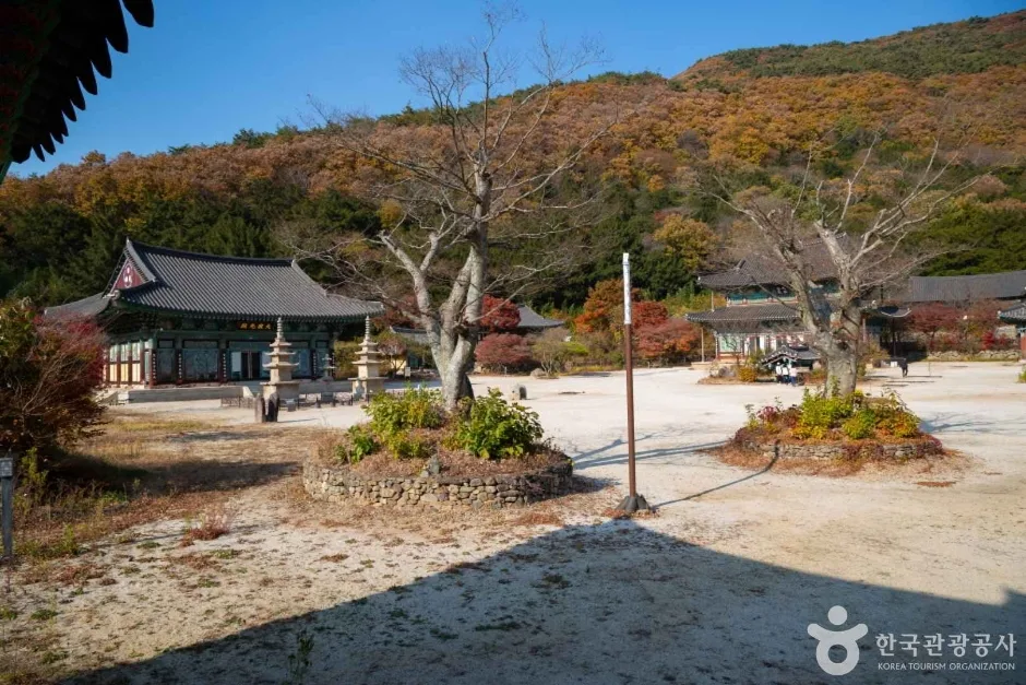 장흥_보림사_외부_3.jpg