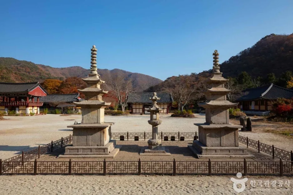 보림사(장흥) (1)
