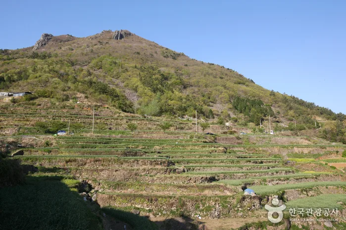 설흘산
