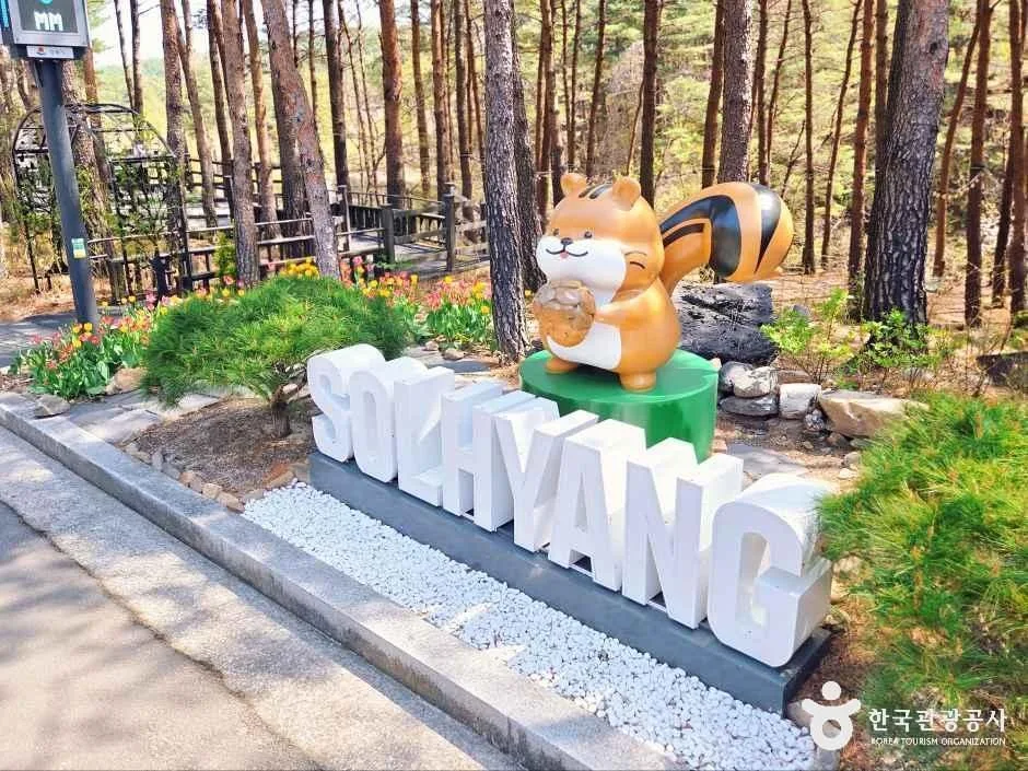 강릉솔향수목원