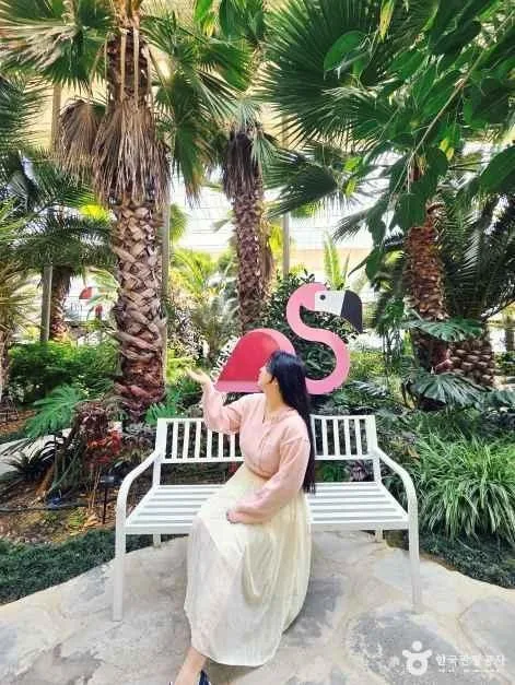 강릉솔향수목원