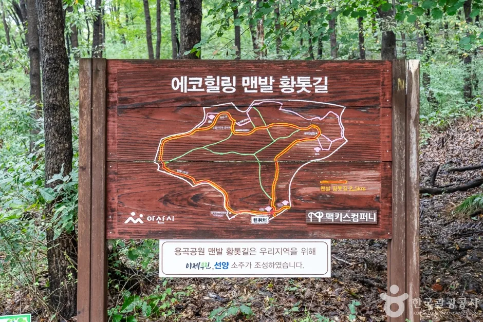 에코힐링황톳길 (10)