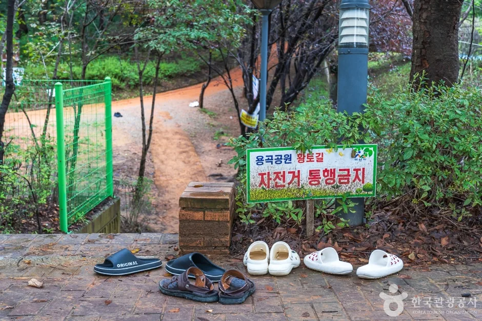 에코힐링황톳길 (12)