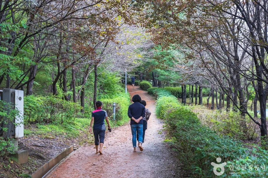 에코힐링황톳길 (9)