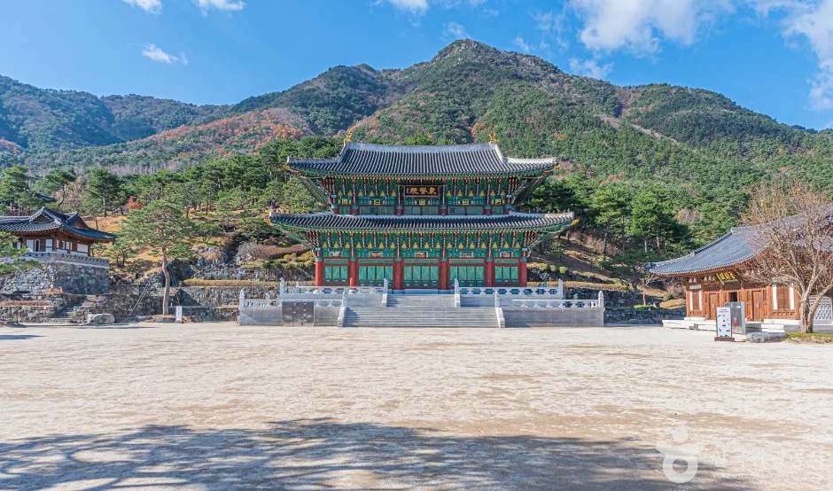 경남_산청 동의보감촌_외부_6.jpg