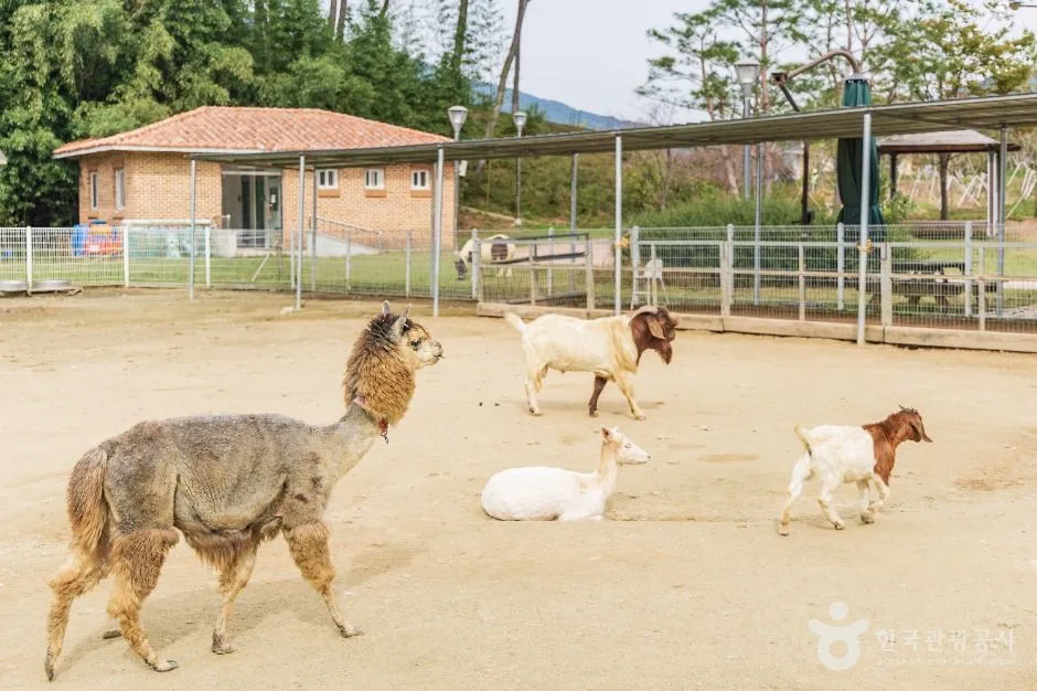 익산_익산 액션하우스 (6)