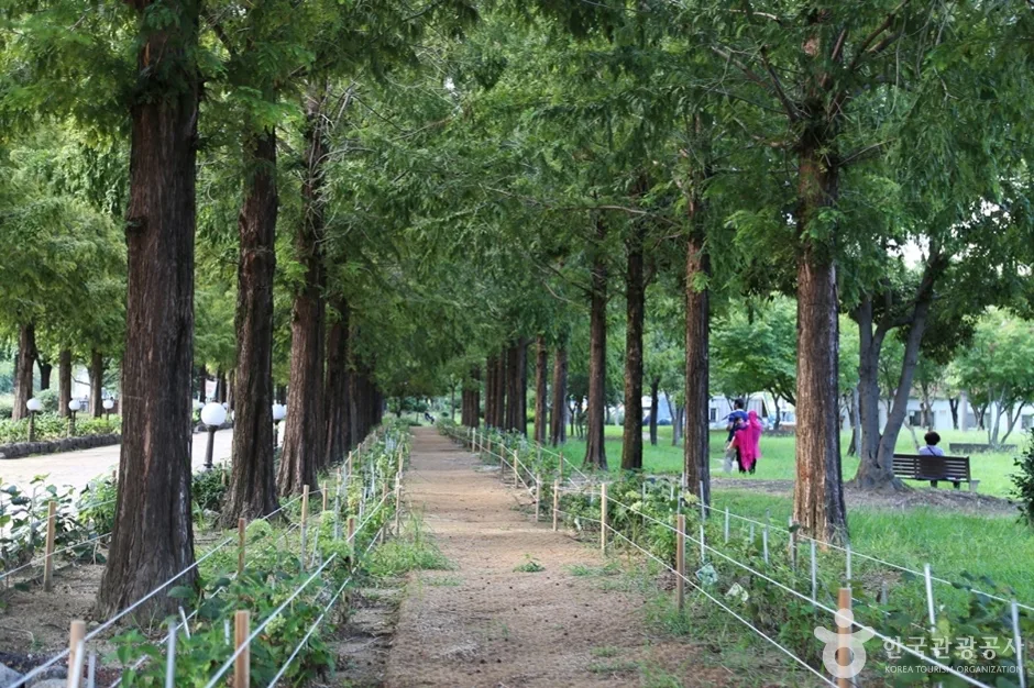 경남_진주_초전시민체육공원 (8)