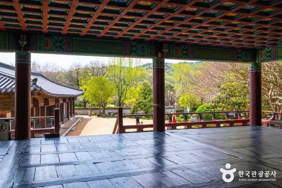 창원의 집