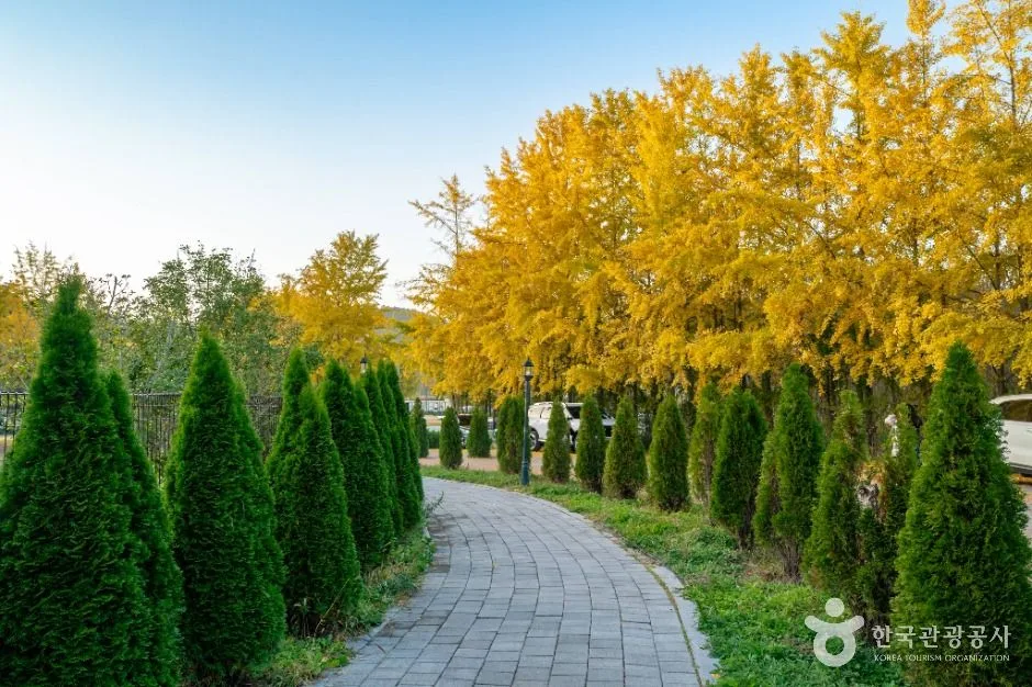나주 은행나무 수목원