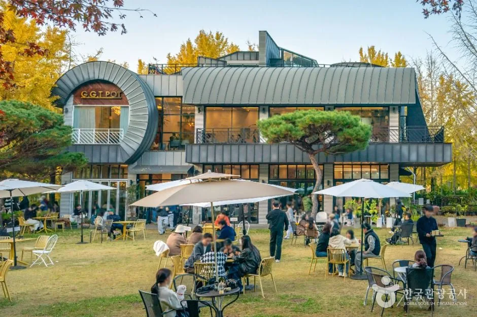 가을빛 물든 전남광주 나주 감성 여행_전남광주_나주_나주 은행나무 수목원_2.jpg