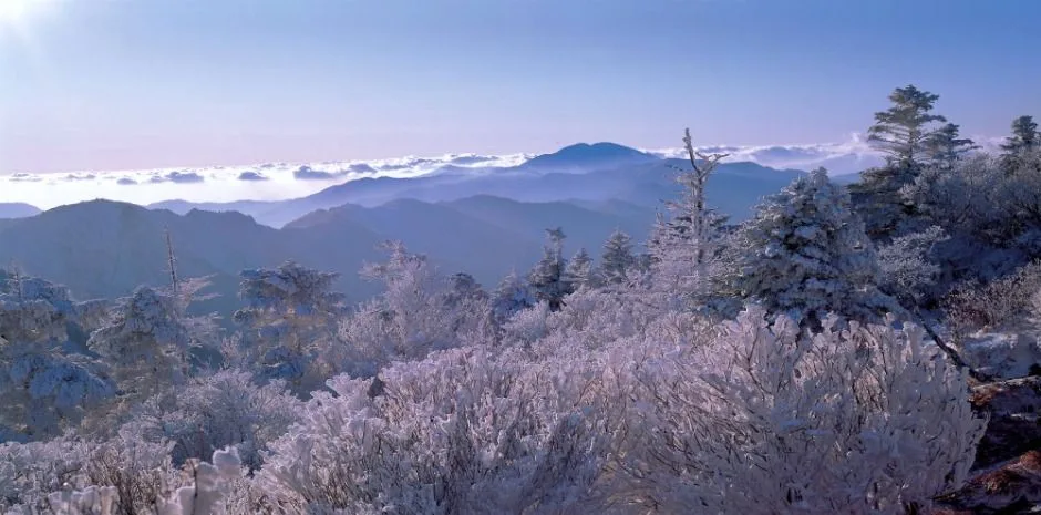 산청_지리산국립공원(산청) (1)