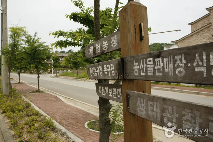 경기_파주_임진강변 생태마을 해마루촌 7