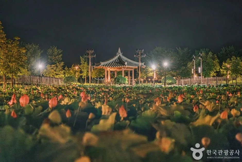 신정호수공원