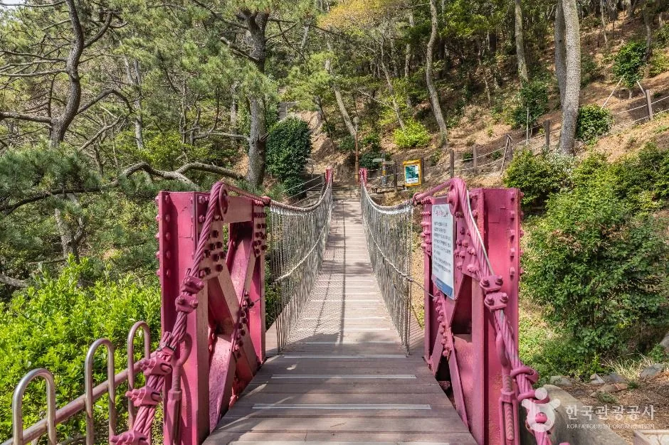 부산_부산 암남공원 (11)