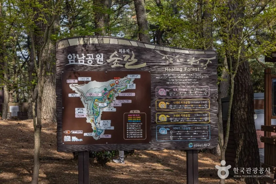 부산_부산 암남공원 (3)