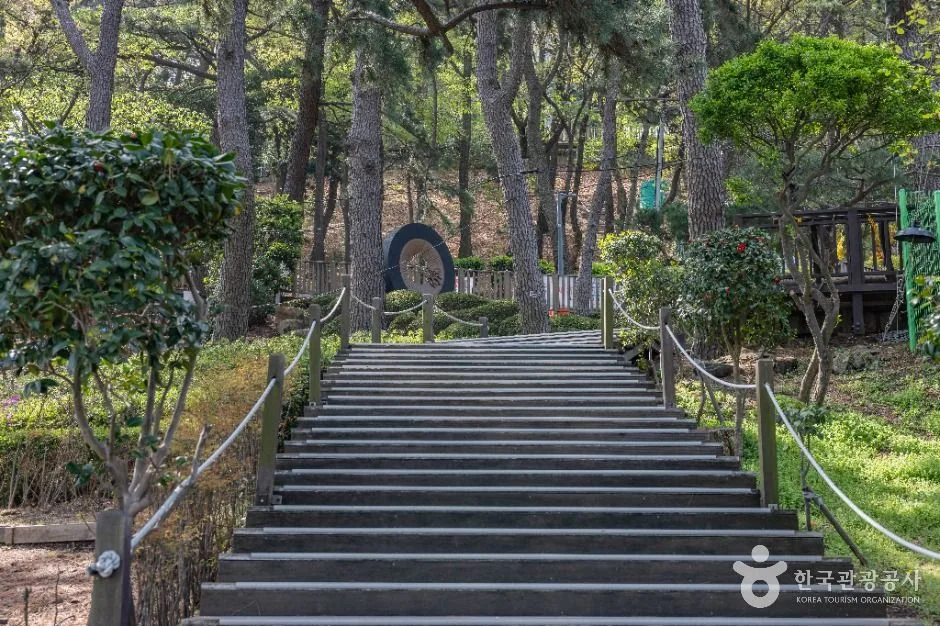 부산_부산 암남공원 (4)