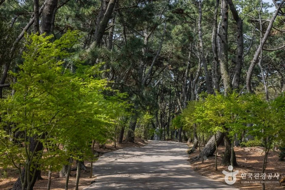 부산_부산 암남공원 (2)